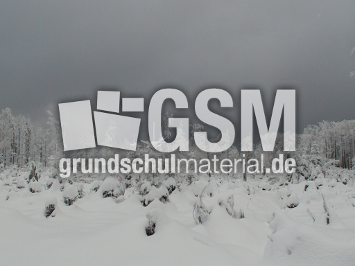Winterlandschaft 3.jpg
